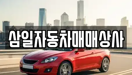 제주 서귀포시 도순동 중고차 전문 삼일자동차매매상사