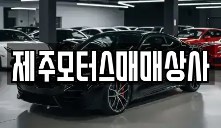제주 서귀포시 도순동 중고차 전문 제주모터스매매상사