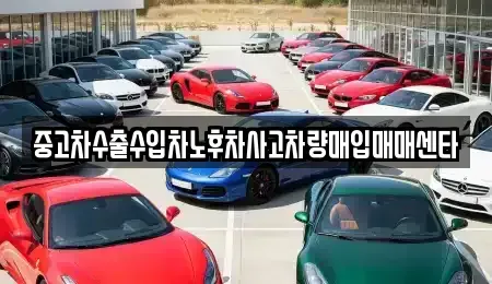 제주 서귀포시 도순동 중고차매입 전문 중고차수출수입차노후차사고차량매입매매센타