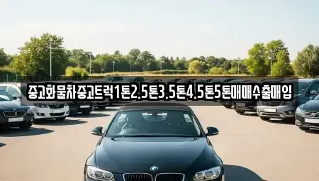 제주 서귀포시 도순동 중고차매입 전문 중고화물차중고트럭1톤2.5톤3.5톤4.5톤5톤매매수출매입
