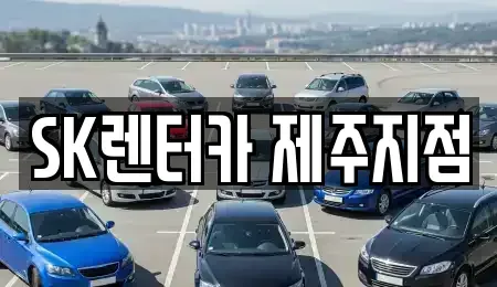 제주 제주시 단기렌트카,중고차매입,중고차매매,중고차,렌트카,장기렌트카