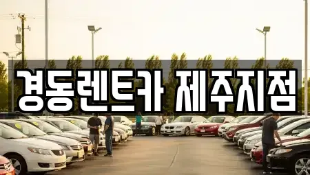 제주 제주시 단기렌트카 전문 경동렌트카 제주지점