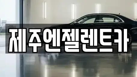 제주 제주시 렌트카 전문 제주엔젤렌트카