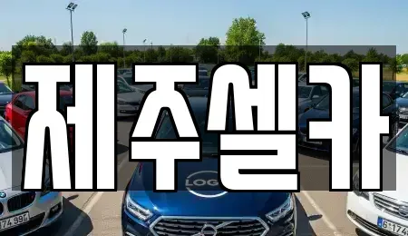 제주 제주시 중고차매매 전문 제주셀카