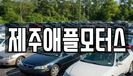 제주 제주시 중고차매매 전문 제주애플모터스