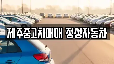 제주 제주시 중고차매매 전문 제주중고차매매 정성자동차