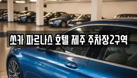 제주특별자치도 서귀포시 상예동 렌트카 전문 쏘카 파르나스 호텔 제주 주차장2구역