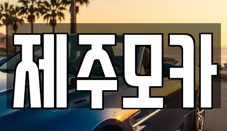 제주특별자치도 제주시 일도일동 렌트카 전문 제주모카