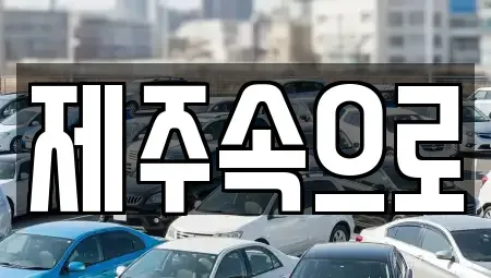 제주특별자치도 제주시 일도일동 렌트카,단기렌트카,장기렌트카,중고차,중고차매매,중고차매입