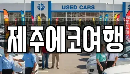 제주특별자치도 제주시 일도일동 렌트카 전문 제주에코여행