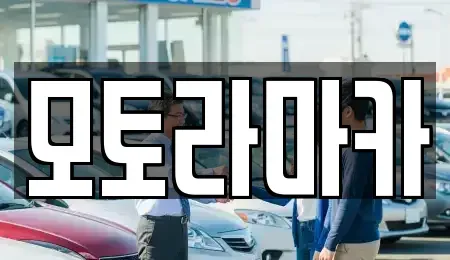 제주특별자치도 제주시 일도일동 중고차 전문 모토라마카