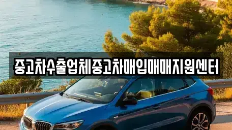 제주특별자치도 제주시 일도일동 중고차 전문 중고차수출업체중고차매입매매지원센터