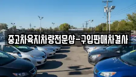 제주특별자치도 제주시 일도일동 중고차 전문 중고차육지차량전문샵-구입판매차결사