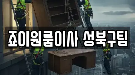 죠이원룸이사 성북구팀
