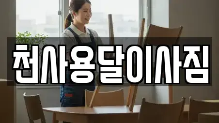 천사용달이사짐