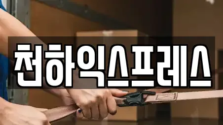 천하익스프레스