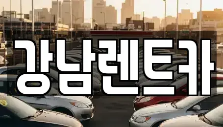 충남 금산군 진산면 렌트카 전문 강남렌트카
