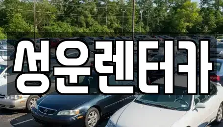 충남 금산군 진산면 렌트카 전문 성운렌터카