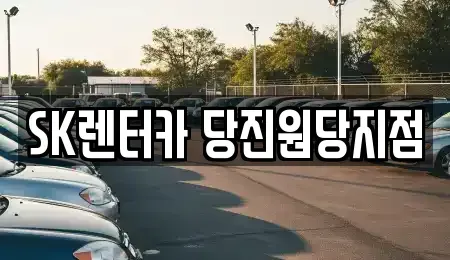 충남 당진시 우두동 렌트카,단기렌트카,장기렌트카,중고차,중고차매매,중고차매입