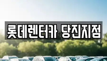 충남 당진시 우두동 렌트카 전문 롯데렌터카 당진지점