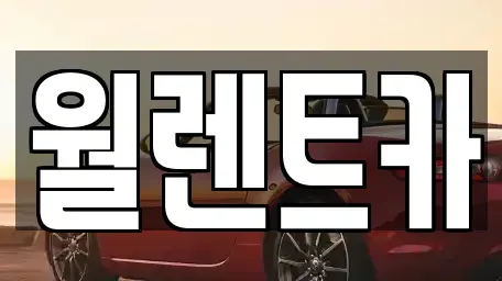 충남 당진시 우두동 렌트카 전문 월렌트카