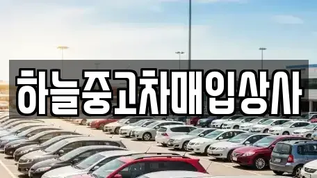 충남 당진시 우두동 중고차매입 전문 하늘중고차매입상사