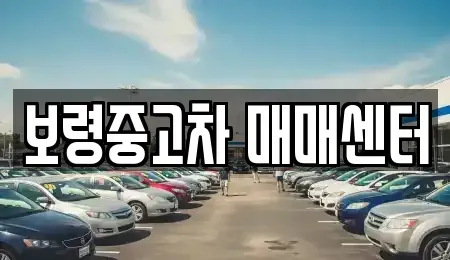 충남 보령시 내항동 중고차매매 전문 보령중고차 매매센터