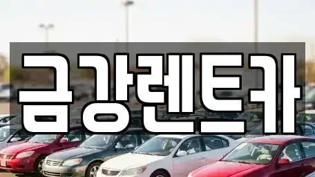 충남 서산시 읍내동 렌트카 전문 금강렌트카