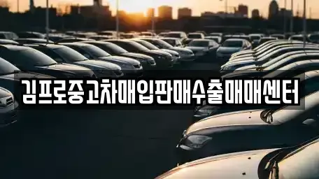 충남 서산시 읍내동 중고차매입 전문 김프로중고차매입판매수출매매센터