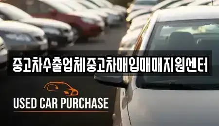 충남 서산시 읍내동 중고차매입 전문 중고차수출업체중고차매입매매지원센터