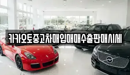 충남 서산시 읍내동 중고차매입 전문 카카오토중고차매입매매수출판매시세