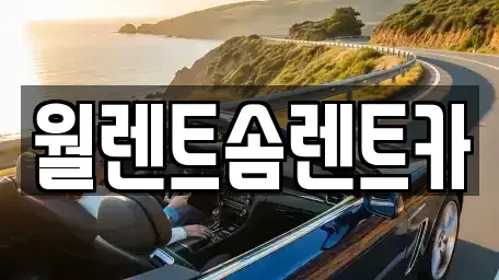 충남 아산시 용화동 렌트카 전문 월렌트솜렌트카