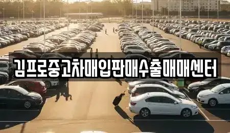 충남 천안시 서북구 백석동 중고차매입 전문 김프로중고차매입판매수출매매센터