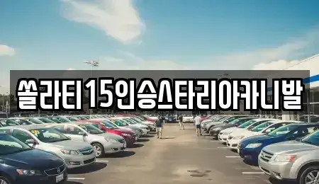 충북 제천시 중앙로1가 렌트카 전문 쏠라티15인승스타리아카니발