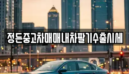 충북 청주시 상당구 남문로1가 중고차매매 전문 정든중고차매매내차팔기수출시세