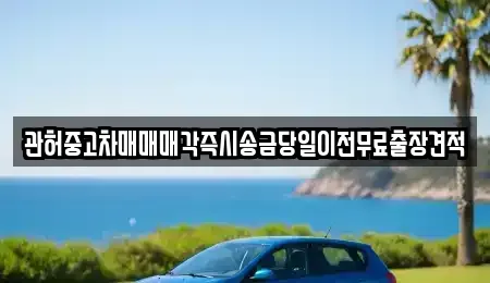 충북 청주시 청원구 외하동 중고차 전문 관허중고차매매매각즉시송금당일이전무료출장견적