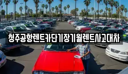 충북 청주시 청원구 율량동 단기렌트카 전문 청주공항렌트카단기장기월렌트사고대차