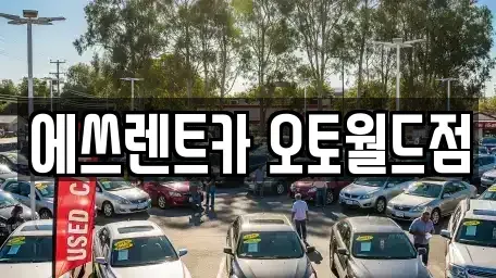 충북 청주시 청원구 율량동 렌트카 전문 에쓰렌트카 오토월드점