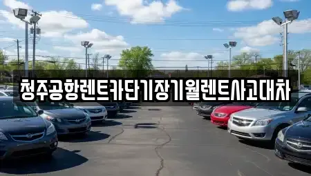 충북 청주시 흥덕구 문암동 단기렌트카 전문 청주공항렌트카단기장기월렌트사고대차