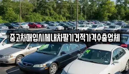 충북 청주시 흥덕구 문암동 중고차매매 전문 중고차매입시세내차팔기견적가격수출업체