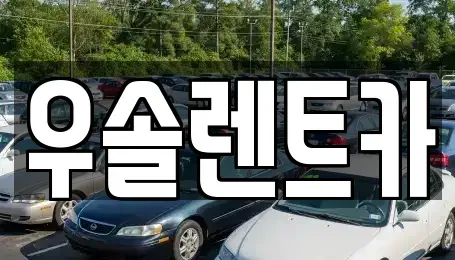 충북 청주시 흥덕구 수의동 렌트카 전문 우솔렌트카