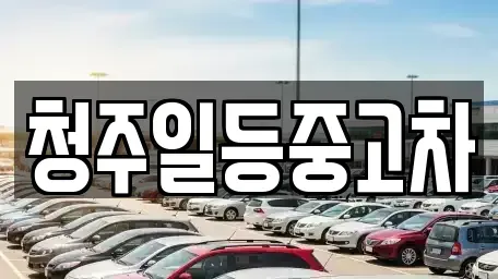 충북 청주시 흥덕구 수의동 중고차 전문 청주일등중고차