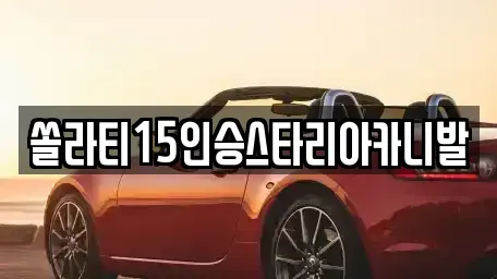 충북 충주시 앙성면 렌트카 전문 쏠라티15인승스타리아카니발
