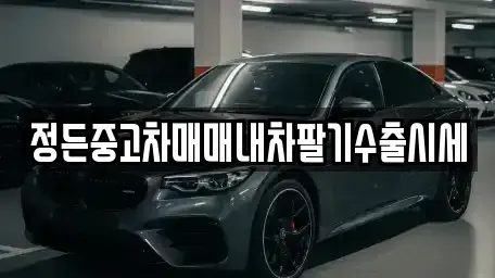 충북 충주시 앙성면 중고차 전문 정든중고차매매내차팔기수출시세