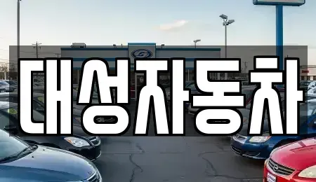 충청남도 논산시 부적면 중고차매매 전문 대성자동차