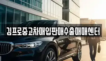 충청남도 논산시 은진면 중고차매입 전문 김프로중고차매입판매수출매매센터