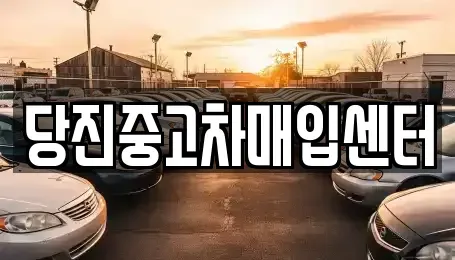 충청남도 당진시 우두동 중고차매입 전문 당진중고차매입센터