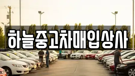 충청남도 당진시 우두동 중고차매입 전문 하늘중고차매입상사