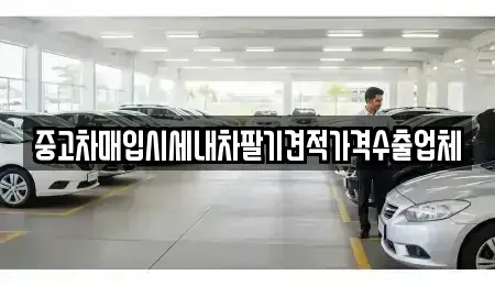 충청남도 서천군 마서면 중고차매입 전문 중고차매입시세내차팔기견적가격수출업체