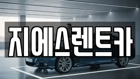 충청남도 천안시 동남구 청당동 렌트카 전문 지에스렌트카